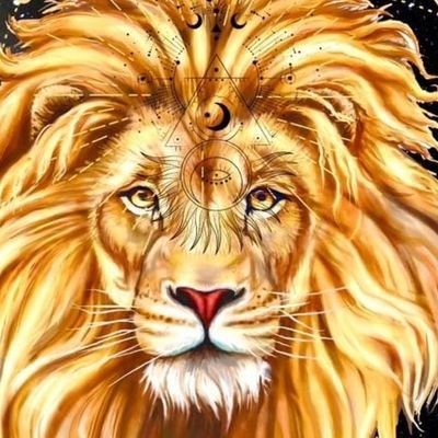 onlinekedi's profile picture. Sadece 2