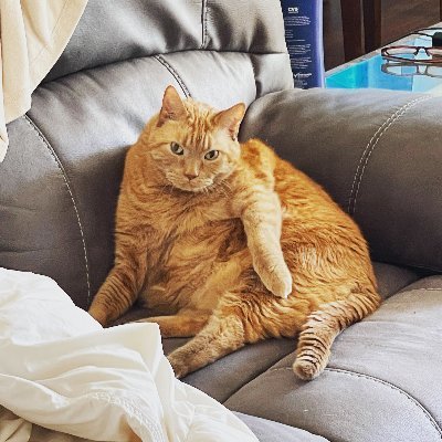 405retired's profile picture. Estadista full