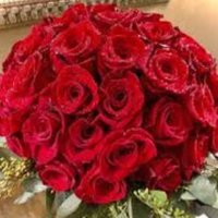RK (@reenuyadav90260) 's Twitter Profile