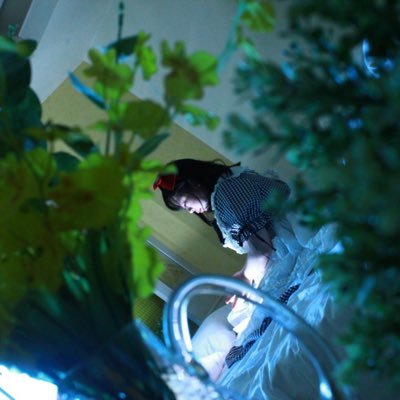 pinkandiris's profile picture. ディズニー大好き❗年パスお休み中…メイちゃんと私の一押しの子ティンカー・ベルが大好きです❤ コスプレもちょいちょい活動してます❗皆様仲良くしてください❗カードキャプターさくら/曇天に笑うシリーズ 、ラブライブ/星空凛ちゃん大好きです❤そしてK-POPブーム中❗️TWICE可愛い💕