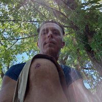 Daniel Ryan (@danielryan108) 's Twitter Profile