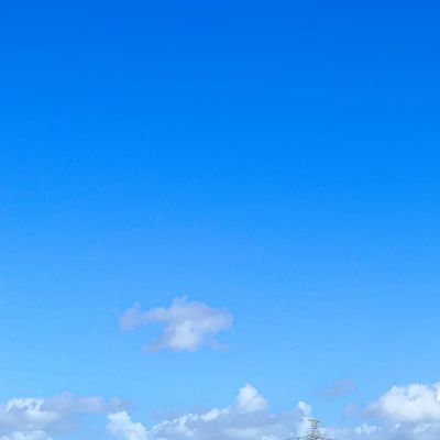 Faifai_Lily's profile picture. ☪️🕌🧕🇲🇨