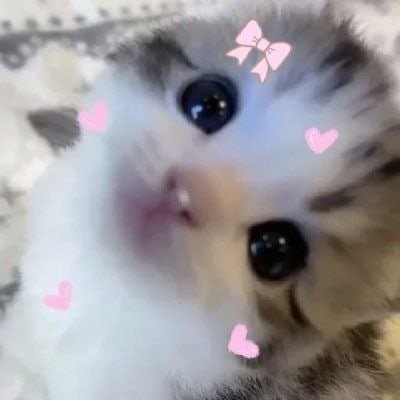 勇気|Yuukiさんのプロフィール画像