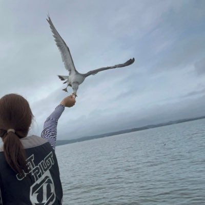 ymryurina's profile picture. 子供4人/敷地内同居/中型2輪/2級船舶/小型特殊船舶/2024准看取得/整形外科勤務/Dax