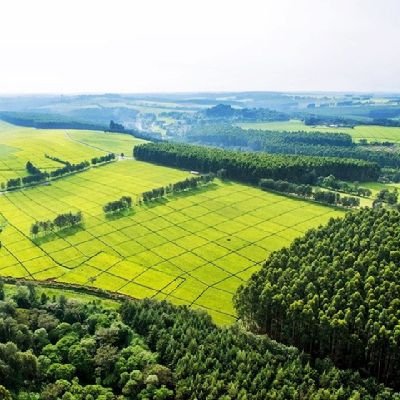 CheruuKevin's profile picture. @Arsenal fan /
Student @uonbi / God's son