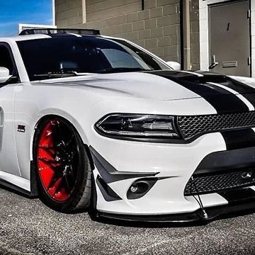 Cignal2020's profile picture. 