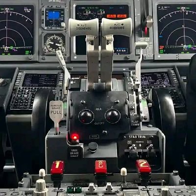 bookies converter, entrepreneur,crypto/forex trading,Airline cabin crew.