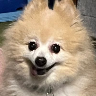 Indigomoon2024's profile picture. バッテリィズ⚾️💕 2025ガチ推ししていきます！ 無言フォロー失礼します🙏怪しいものではありません😊好きなもの以外はスルーさせていただきます！