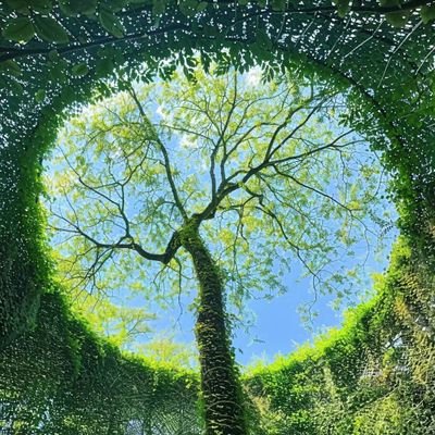 xieds's profile picture. 明月依舊。故人何處？