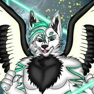 Ash110H's profile picture. 