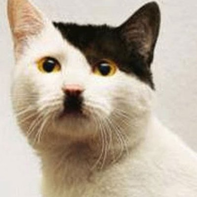 Caustique, humour noir, regard acéré sur l'actualité, ni macho, ni misogyne, il m'arrive de passer pour un phallocrate aux yeux des féministes. Étonnant, non?