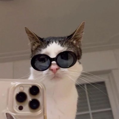 baesepti_'s profile picture. 