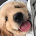 wannabe (@seenyoumessage) Twitter profile photo wannabe (@seenyoumessage) Twitter profile photo