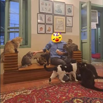 someCallMeEl's profile picture. اصفهانی نا خسیس|تک پسر غیر لوس|شریفی ناشریف!