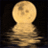 quhozaciruvep's profile image