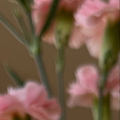 peakinhouseさんのプロフィール画像