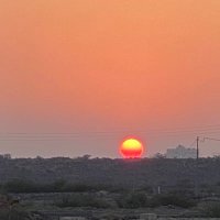 القيصر (@alqesar_m) 's Twitter Profile