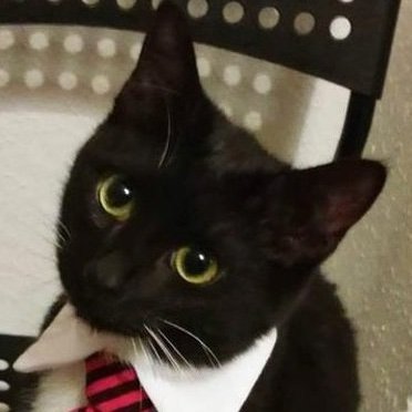 mirocored's profile picture. ENG + RUS 

🇱🇻🇷🇺

Mediocre composer