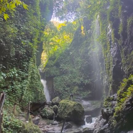 binkoes's profile picture. 