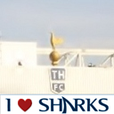 GavPugh74's profile picture. Retail Manager and devoted Spurs Fan and Sale Sharks Rugby Fan