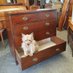 mcbainsantiques (@mcbainsantiques) Twitter profile photo mcbainsantiques (@mcbainsantiques) Twitter profile photo