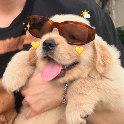 kinkaxz's profile picture. ก็นั้นแหละ เรียน นอน อ่านนส. มีแค่นี้ (ตอนนี้เพิ่มติ่งมาอีกอัน)