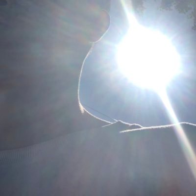 teddd1122's profile picture. 