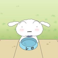 ♡ (@trhkoiii6_) 's Twitter Profile Photo ♡ (@trhkoiii6_) 's Twitter Profile Photo