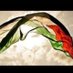 Sarwat Jabeen🇵🇸🇵🇰 (@sarwatjabeen123) Twitter profile photo Sarwat Jabeen🇵🇸🇵🇰 (@sarwatjabeen123) Twitter profile photo