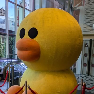 佳林ちゃんと莉佳子メインのハロヲタ
そしてえりぽんとげったーと島倉りかちゅんとビヨ（みよ）
または読売ジャイアンツ⚾️