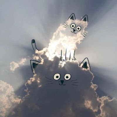 Dalecam's profile picture. Momsy, Schoolbus Sue, I ❤ Market Research.