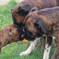 Lady - Chilli - Coffee (@lady_chilli_) Twitter profile photo