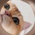 #(ᴡɪᴛʜ) 𝐘𝐎𝐔🍑 (@m_s2_gulf) Twitter profile photo #(ᴡɪᴛʜ) 𝐘𝐎𝐔🍑 (@m_s2_gulf) Twitter profile photo