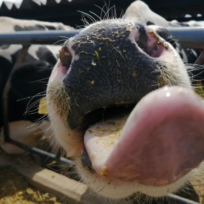 ursulation's profile picture. 