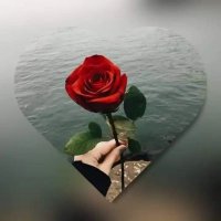 Gurbet (@gurbet66497383) Twitter profile photo