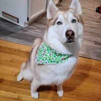 Lucas DeKubber (@lucas_warmwater) 's Twitter Profile