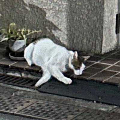 がるがさんのプロフィール画像