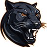 OrangeHS_NC's profile picture. Home of the Mighty Panthers