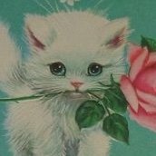 leverkusen95's profile picture. Verrückter Freitag 💥🕊️ | anti-Zionist | 🇩🇪🇮🇹🇵🇭 | nurse and rper
intersex bi | she or any pronouns | sie/dey