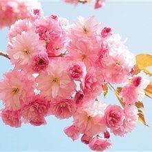 お金の増やし方やお得な情報など共有中。自分がお金に苦労したのでお金に苦しんでいる方を救いたいと思い、多少ですが10万円プレゼント企画をしています♬ 期間限定▶ https://t.co/m1ypCtXQkt