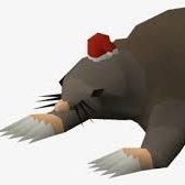 Mole (𝔦, 𝔦) (@jusamole) 's Twitter Profile Photo Mole (𝔦, 𝔦) (@jusamole) 's Twitter Profile Photo