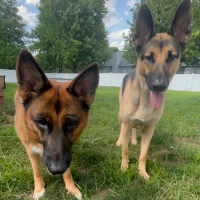 gchrun83's profile picture. 