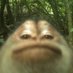Slim Jadey (@baggednoodles) Twitter profile photo Slim Jadey (@baggednoodles) Twitter profile photo