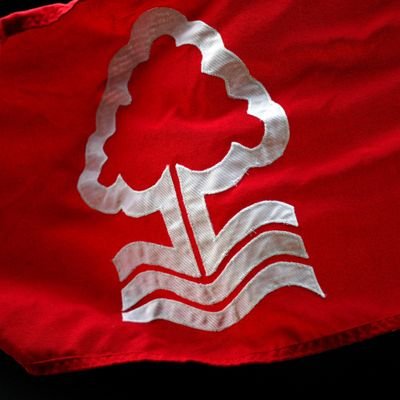 stevemoggie's profile picture. 