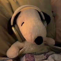 ปาภา (@papha____) 's Twitter Profile Photo ปาภา (@papha____) 's Twitter Profile Photo