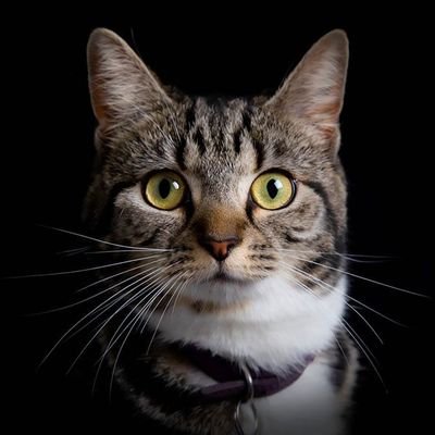 Noone47949911's profile picture. #entrepreneur