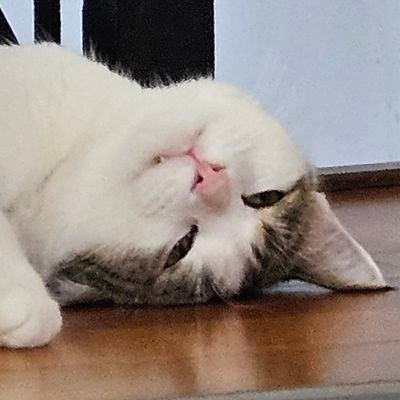 dさんのプロフィール画像
