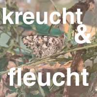 TierbildEtikettierGerät (@spaerlich_) 's Twitter Profile Photo TierbildEtikettierGerät (@spaerlich_) 's Twitter Profile Photo