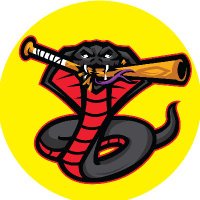 Black Cobra Baseball (@bcb_snakesquad) 's Twitter Profile Photo Black Cobra Baseball (@bcb_snakesquad) 's Twitter Profile Photo