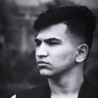زبير دانش (@danish_samim1) 's Twitter Profile